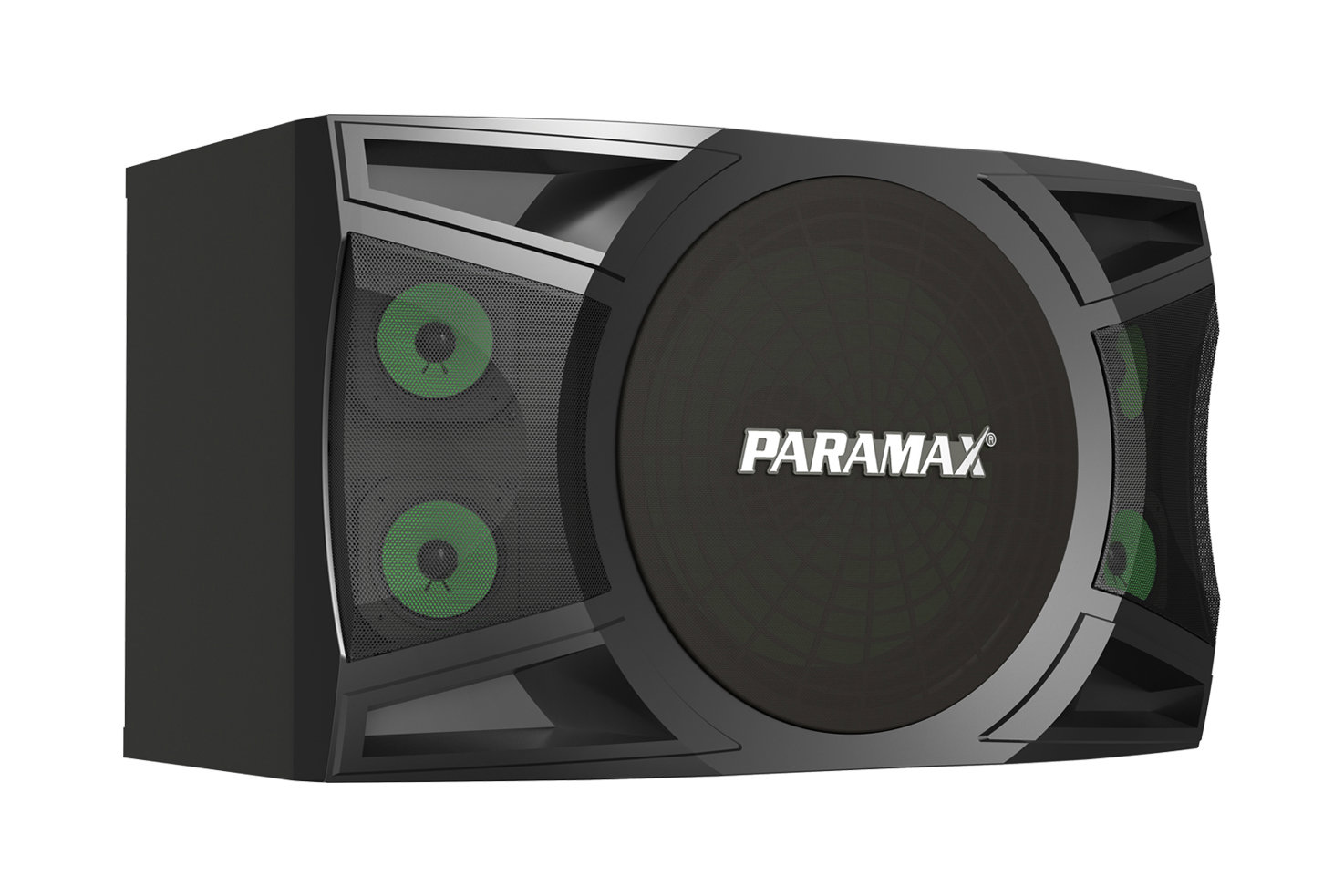 Loa Karaoke Paramax&nbsp;P-1000, Bass 25cm